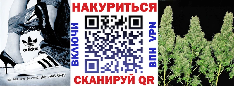 Где купить Кузнецк ГАШИШ  Cocaine  A-PVP  Псилоцибиновые грибы  МЕФ 