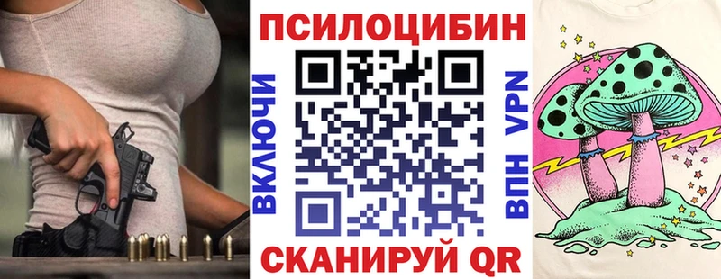 omg онион  даркнет сайт  Кузнецк  Псилоцибиновые грибы Psilocybe 